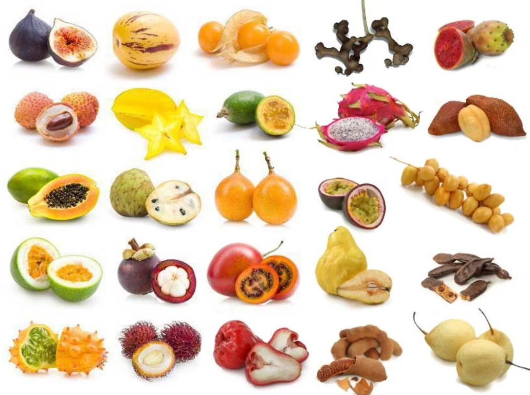 Фото фруктов и их названия. Экзотические фрукты. Экзотические фрукты названия. Наименования экзотических фруктов. Экзотические фрукты и овощи.
