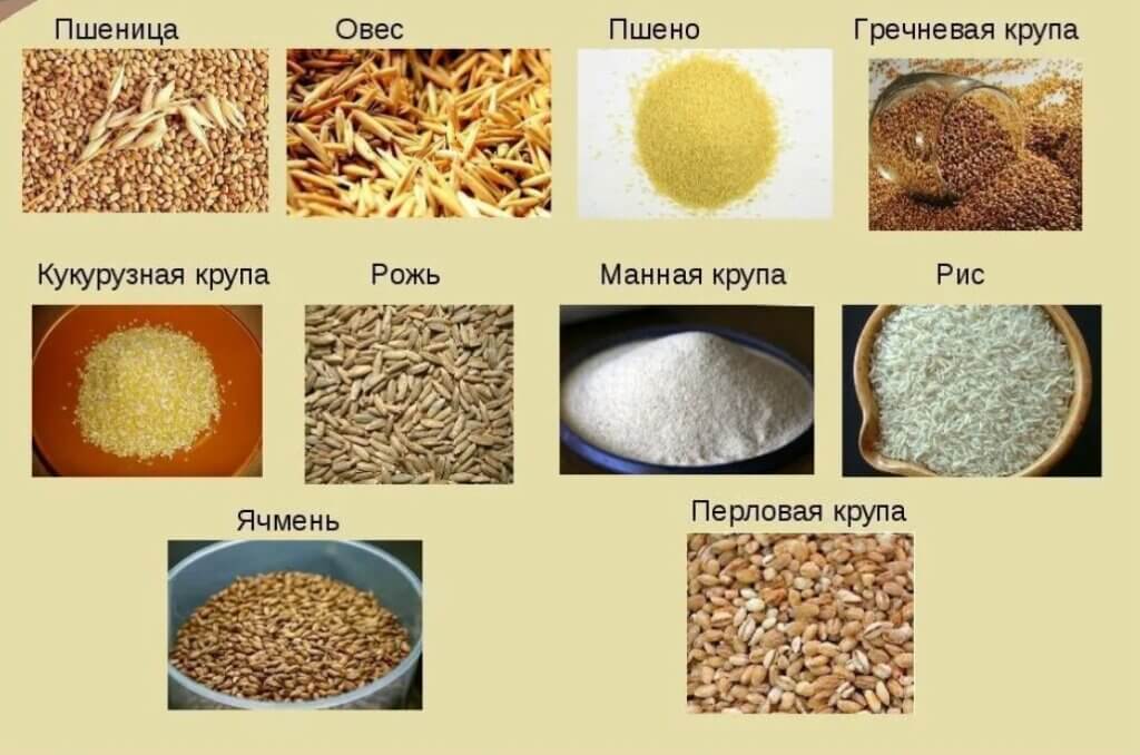 Сертификация зерна